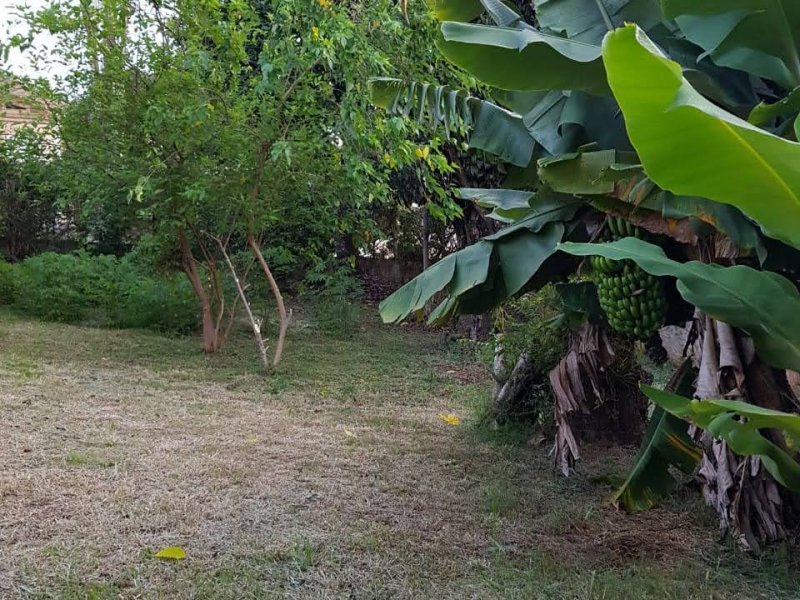 imóvel com 968m² - Jardim Santos Reis - Piracaia