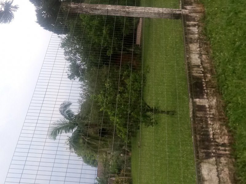 Terreno à venda Santa Cruz com 2401m² e  quartos por R$ 750.000 - 782434621-img-20191030-wa0080.jpeg