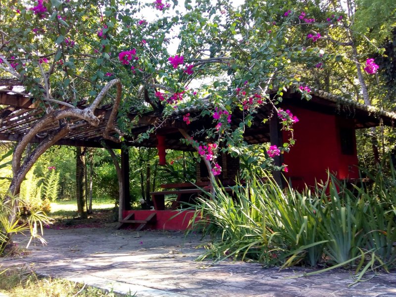 Casa à venda CENTRO com 25010000m² e 2 quartos por R$ 980.000 - 606908115-022-ciurrasco-mt-4x520-com-banho-di-servizio.jpg