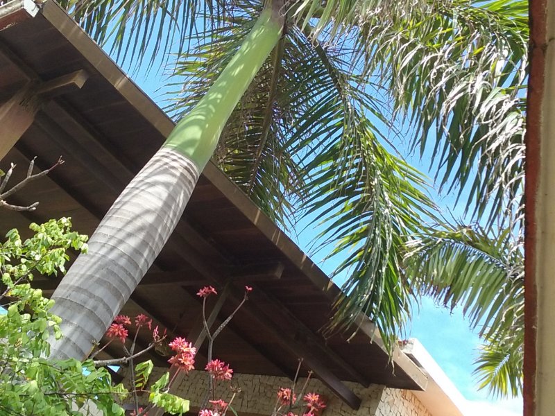 Comercial à venda Vilas do Atlantico com 490m² e  quartos por R$ 1.200.000 - 1116541038-20181006-100453.jpg