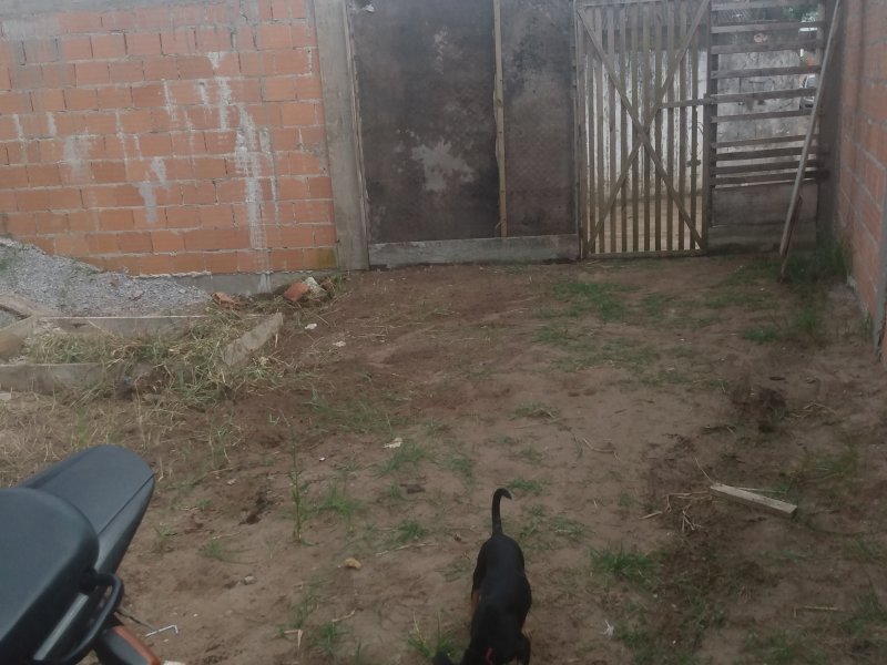 Casa à venda Jardim Iguaçu com 25m² e 1 quarto por R$ 70 - 15977585-img-20200318-101654862.jpg
