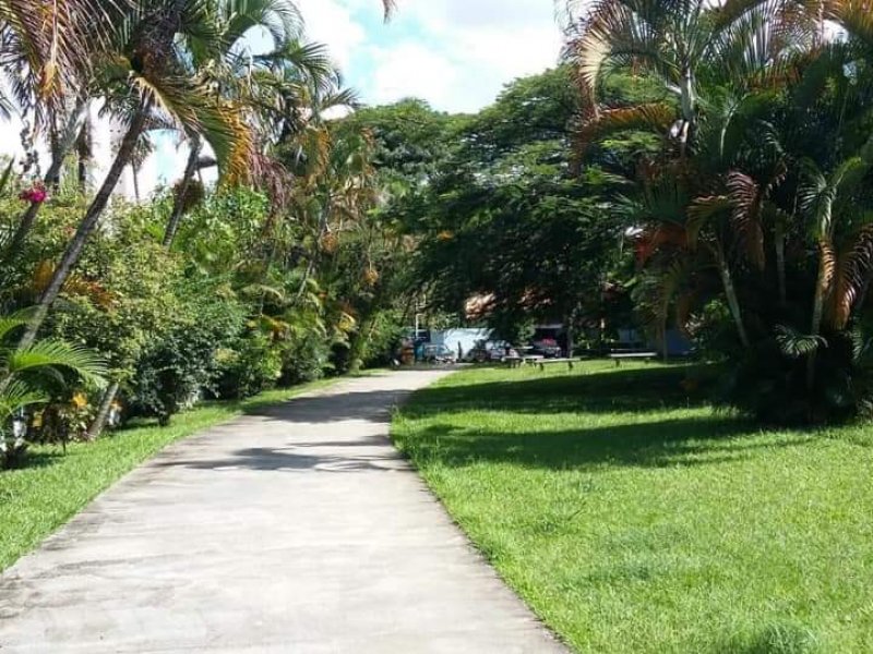 imóvel com 70m² - Jardim Testae - Guarulhos
