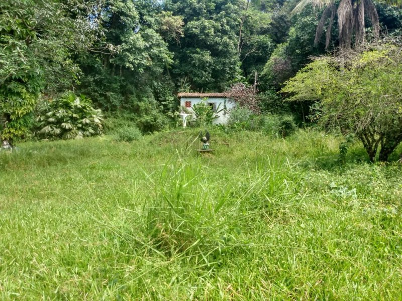 Sítio à venda Bairro Castália com 2000m² e 4 quartos por R$ 580.000 - 1091905607-whatsapp-image-2020-03-16-at-15.jpeg