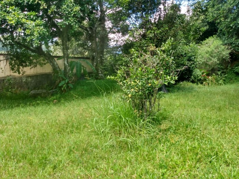 Sítio à venda Bairro Castália com 2000m² e 4 quartos por R$ 580.000 - 1118301921-whatsapp-image-2020-03-16-at-15.jpeg