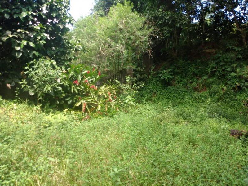 Sítio à venda Bairro Castália com 2000m² e 4 quartos por R$ 580.000 - 1574875815-whatsapp-image-2020-03-16-at-15.jpeg