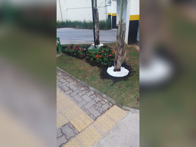 imóvel com 45m² - Piqueri - São Paulo