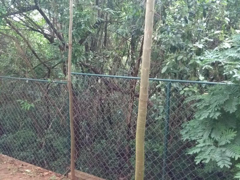 Apartamento à venda Aparecidinha com 48m² e 2 quartos por R$ 160.000 - 349477343-img-20200123-151216910.jpg