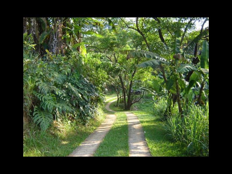 Chácara à venda Barra Velha com 120m² e 2 quartos por R$ 750.000 - 252269182-02-descida.jpg
