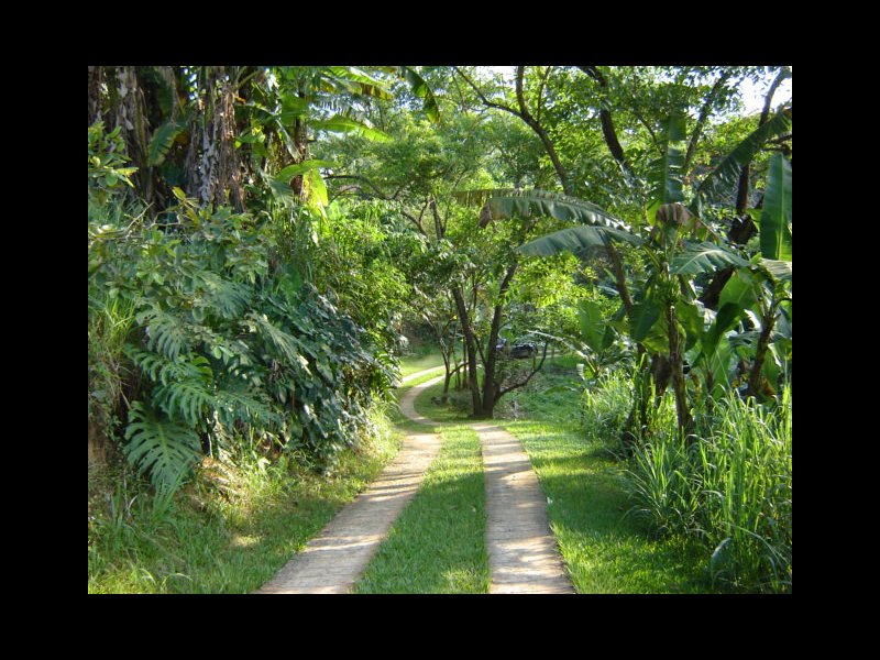 Chácara à venda Barra Velha com 120m² e 2 quartos por R$ 750.000 - 252269182-02-descida.jpg