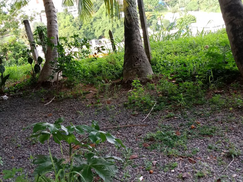 Apartamento à venda Engenho Velho de Brotas com 230m² e 3 quartos por R$ 215.000 - 138133677-img-20200319-wa0092.jpeg