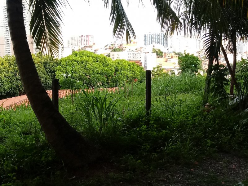 Apartamento à venda Engenho Velho de Brotas com 230m² e 3 quartos por R$ 215.000 - 2025423594-img-20200319-wa0094.jpeg