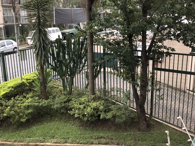 Apartamento à venda Jardim Celeste com 49m² e 2 quartos por R$ 230.000 - 395714535-04b2eb3f-2d57-4490-90a7-6745f7d1387f.jpeg