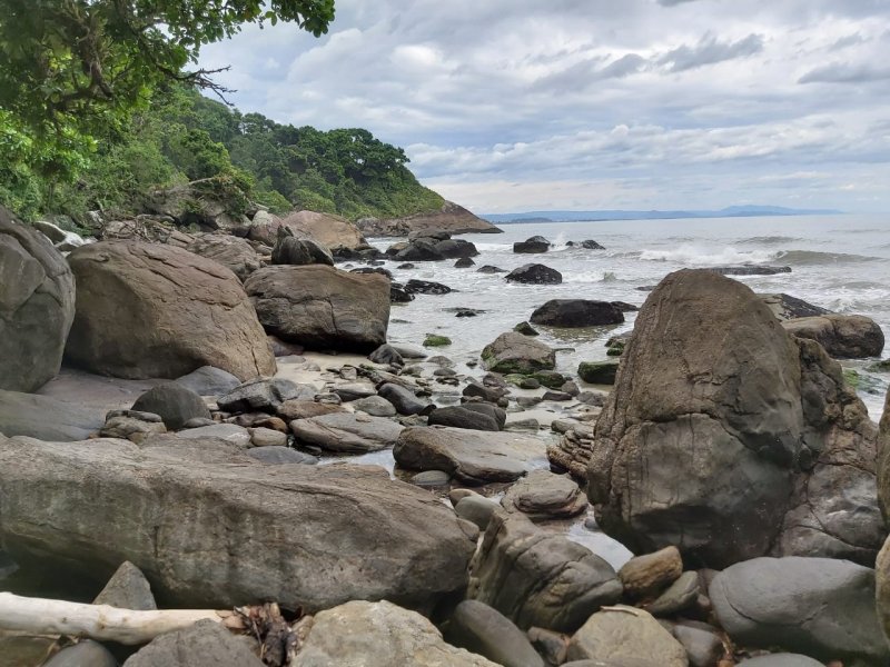 Terreno à venda Jd Guarau com 50m² e  quartos por R$ 300.000 - 103167920-fundos-do-terreno-3.jpg