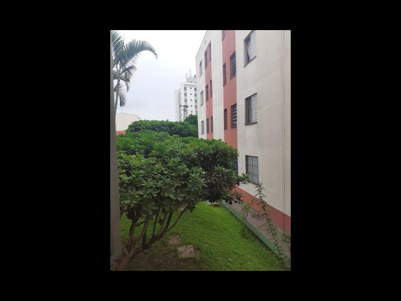 Apartamento à venda Jardim Boa Vista (Zona Oeste) com 45m² e 2 quartos por R$ 195.000 - 812643628-foto-16.jpg