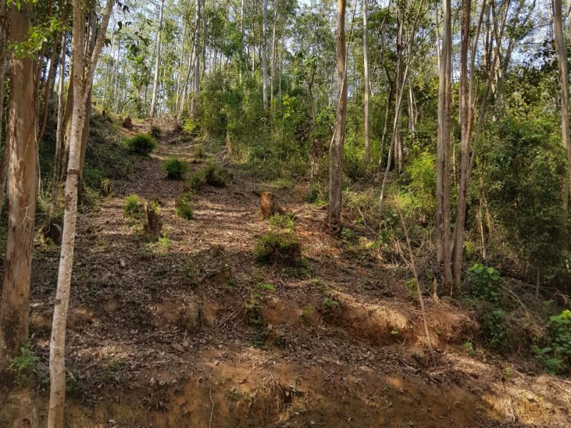 Terreno à venda Lavra Velha com 2019m² e  quartos por R$ 195.000 - 1968622761-foto-4.jpg