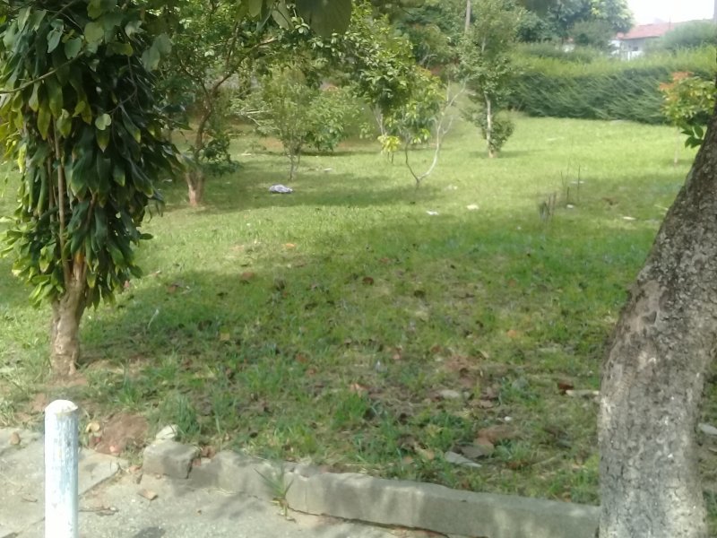 imóvel com 44m² - Vila Guiomar - Santo André