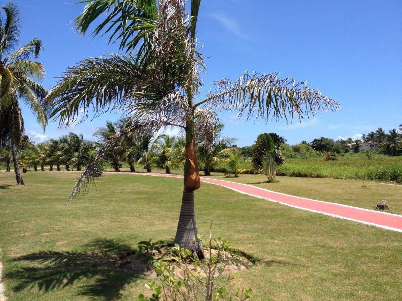 Casa de condomínio à venda Centro com 300m² e 4 quartos por R$ 785.000 - 984620453-fcd9a9a6-4330-4ad3-989f-b1c0bed18457.jpeg
