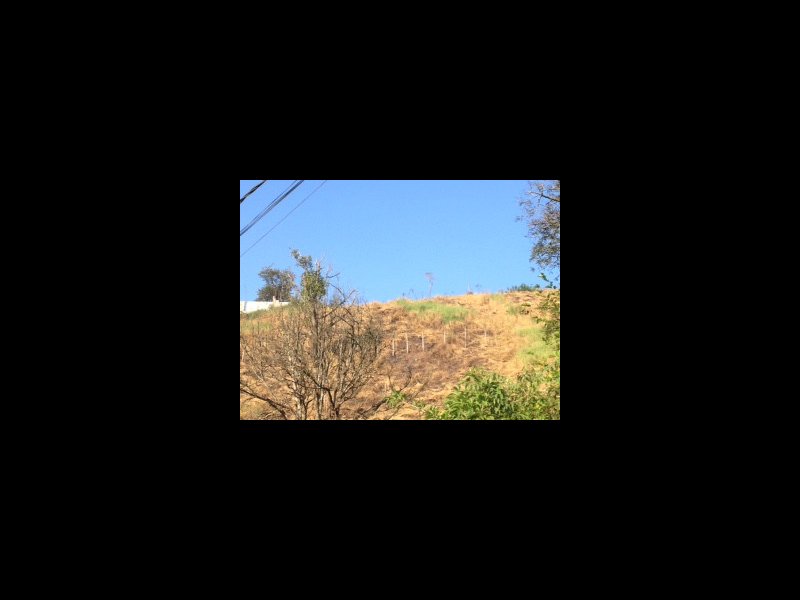 Terreno para alugar Jardim Eldorado com 1000m² e  quartos por R$ 66.000 - 434889540-img-4390.JPG