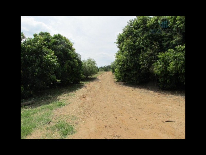 Chácara à venda centro com 30m² e 3 quartos por R$ 300.000 - 1788529025-5fb0b5f9-c4b4-4d1d-9f08-e5ee79167a04.jpeg