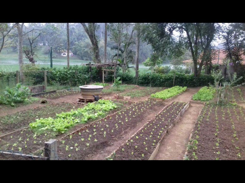 Chácara à venda Eldorado com 13100m² e 8 quartos por R$ 1.000.000 - 1880373884-045.jpg