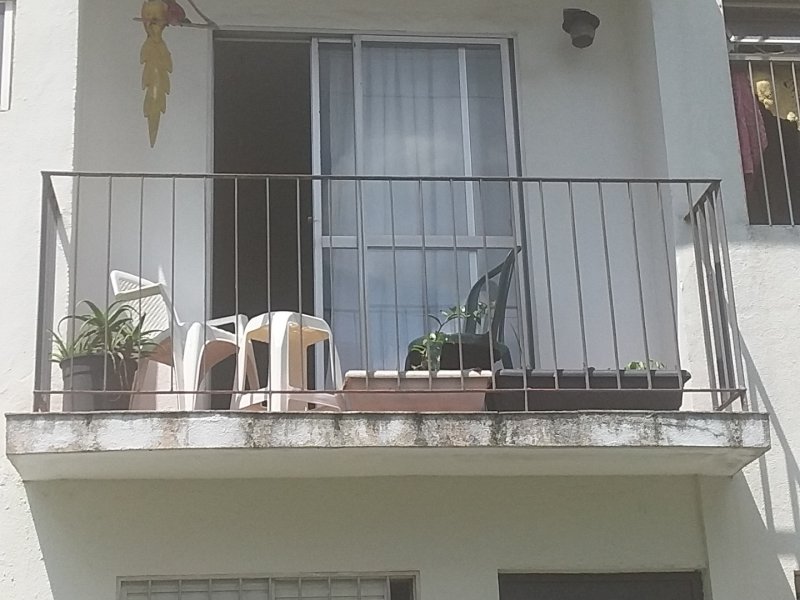 Apartamento à venda Jardim Umarizal com 51m² e 2 quartos por R$ 220 - 1177955567-inbound1018453250506818059.jpg