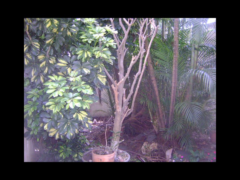 Casa à venda Vila São Paulo com 195m² e 3 quartos por R$ 650.000 - 1625585555-dsc05550.JPG