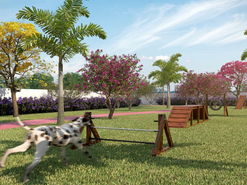 Apartamento à venda santo antonio com 46m² e 2 quartos por R$ 210.000 - 1085977219-apartamento-com-2-quartos-em-sao-jose-dos-pinhais-bom-jesus-cod.jpg