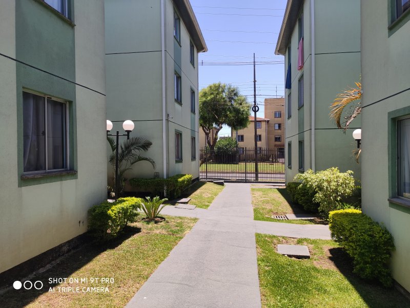 imóvel com 52m² - Sítio Cercado - Curitiba