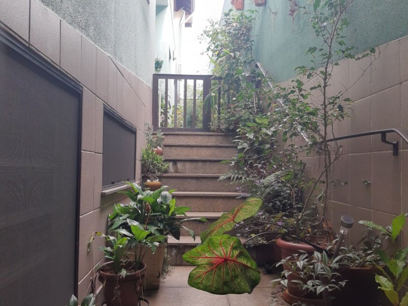 Casa à venda Vila São José com 278m² e 4 quartos por R$ 950.000 - 1452641794-acesso-garagem-para-quintal-lateral.jpg