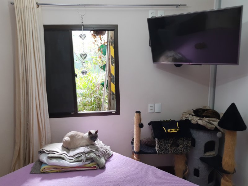 Casa à venda Vila São José com 278m² e 4 quartos por R$ 950.000 - 1504576923-suite-principal-3.jpg