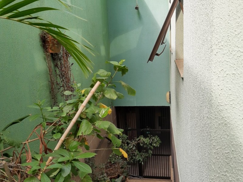 Casa à venda Vila São José com 278m² e 4 quartos por R$ 950.000 - 211464030-quintal-acesso-garagem.jpg