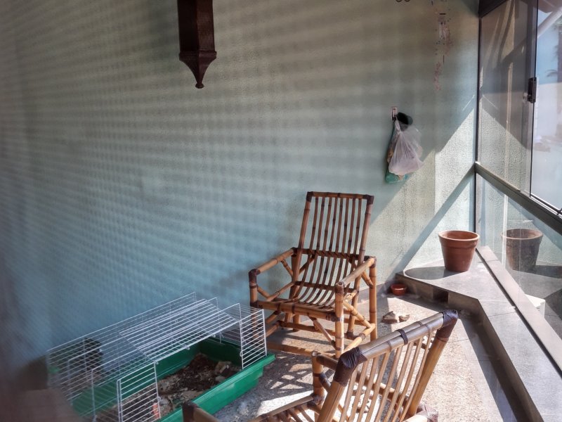 Casa à venda Vila São José com 278m² e 4 quartos por R$ 950.000 - 342941186-terraco-fechado-salao-de-festas.jpg
