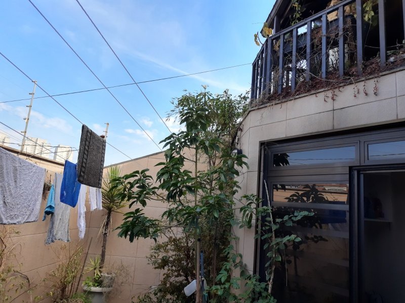 Casa à venda Vila São José com 278m² e 4 quartos por R$ 950.000 - 720133130-quintal-frente-acesso-lavanderia.jpg
