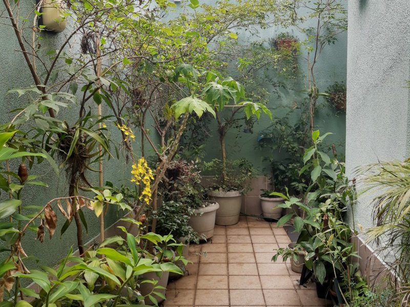 Casa à venda Vila São José com 278m² e 4 quartos por R$ 950.000 - 720980160-quintal-churrasqueira-2.jpg