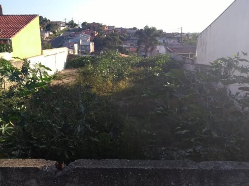 Terreno à venda Thomaz Coelho com 366m² e  quartos por R$ 180.000 - 633381991-whatsapp-image-2020-03-31-at-20.jpeg