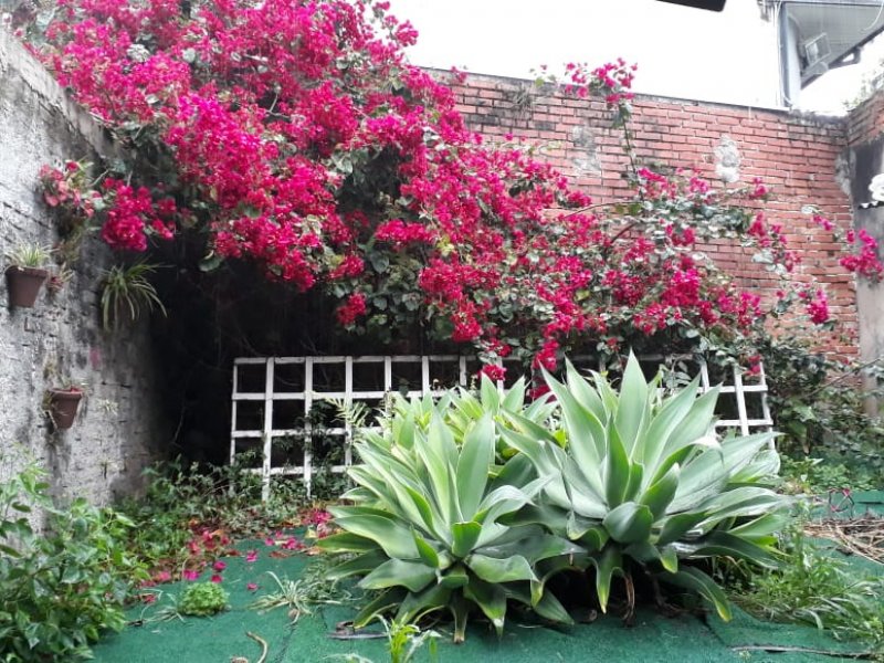 Casa à venda Batel com 178m² e 3 quartos por R$ 750.000 - 238374678-58f9fb95-dccd-4e21-8654-7e7ffcbc9dd2.jpg