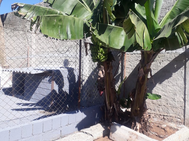 Casa à venda Lot. Loanda com 124m² e 3 quartos por R$ 499.000 - 1183753227-20190624-115429.jpg