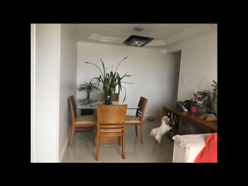 Apartamento à venda Vila Primavera com 60m² e 2 quartos por R$ 260.000 - 1966109563-24.PNG