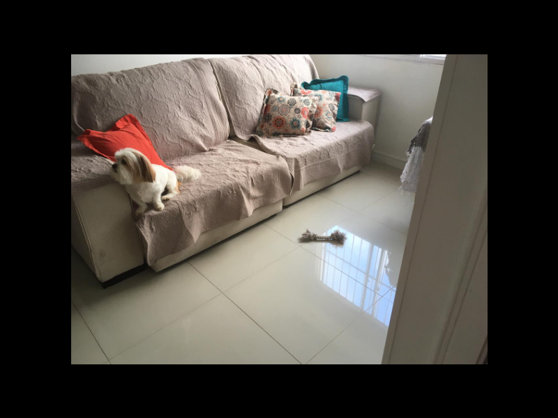 Apartamento à venda Vila Primavera com 60m² e 2 quartos por R$ 260.000 - 1968280399-16.PNG