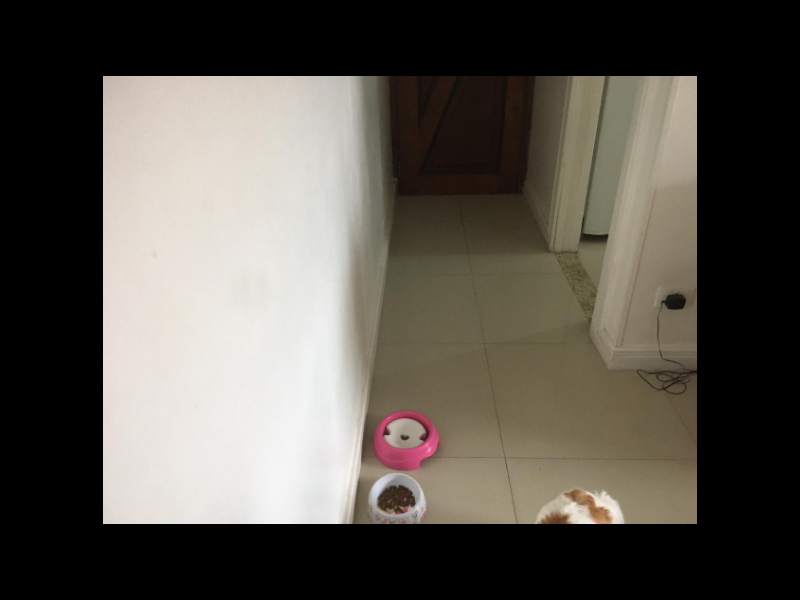 Apartamento à venda Vila Primavera com 60m² e 2 quartos por R$ 260.000 - 1996361123-27.PNG
