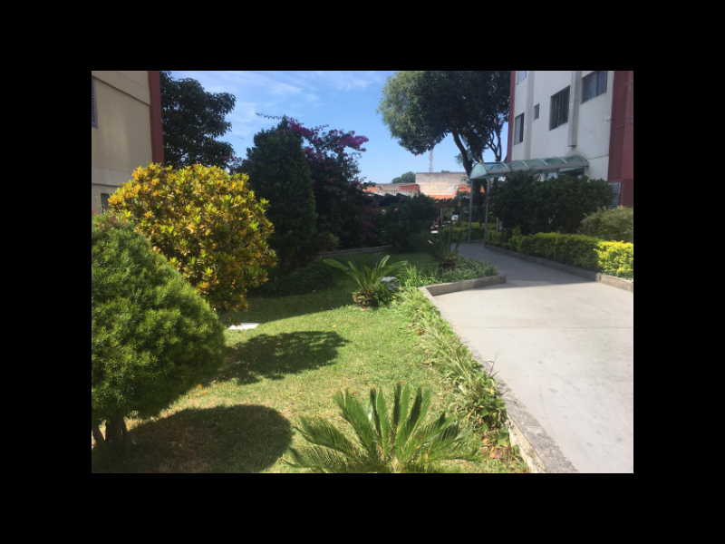 Apartamento à venda Vila Primavera com 60m² e 2 quartos por R$ 260.000 - 428195319-69.PNG