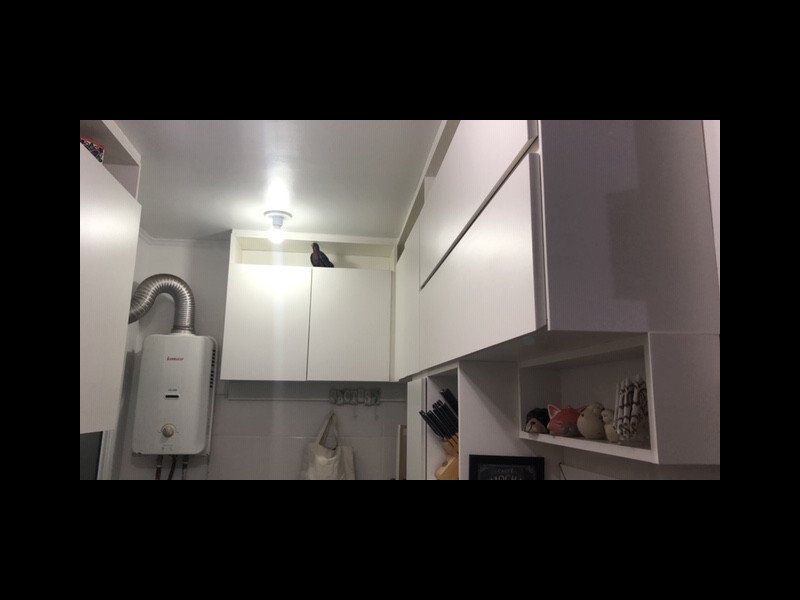 Apartamento para alugar Humaitá com 85m² e 3 quartos por R$ 290.000 - 231781227-b121adb1-6a7d-438f-a4c3-6ee587e6583f-copia.JPG
