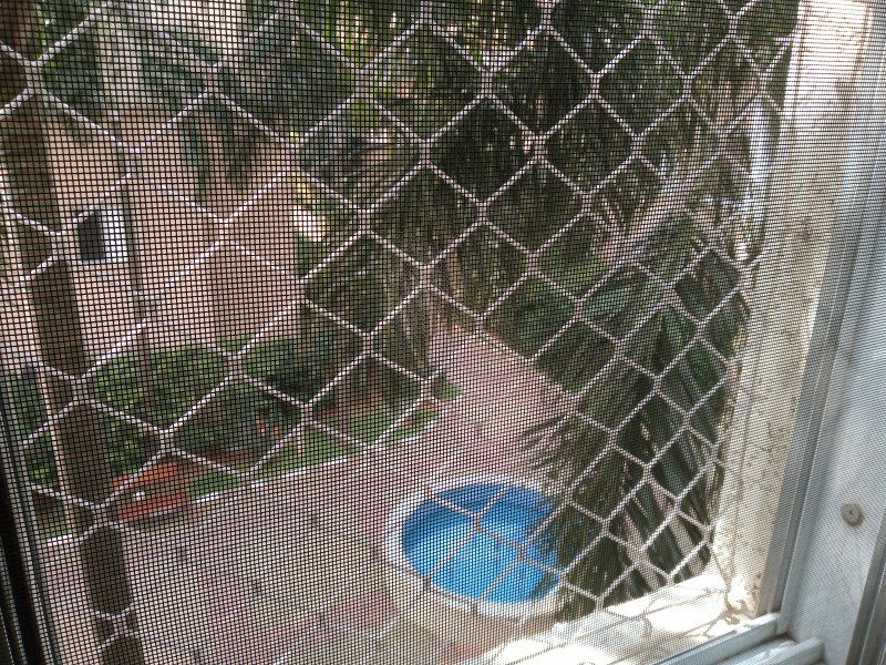 Apartamento à venda Nucleo Res. Celia Mota com 72m² e 3 quartos por R$ 300.000 - 258709301-img-20200328-135523743.jpg