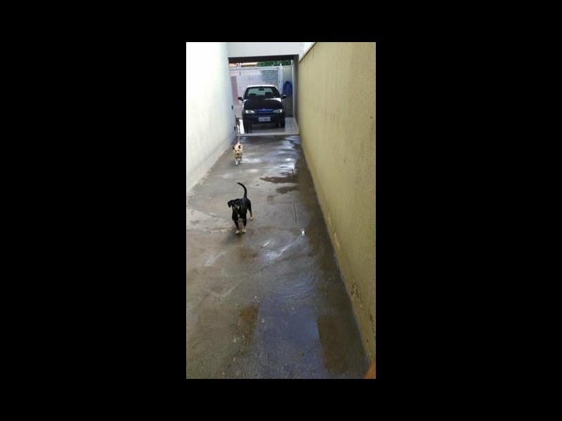 Casa à venda Res. Machado I com 230m² e 3 quartos por R$ 380.000 - 711101953-casa7.jpg