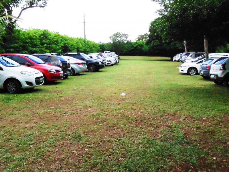 Chácara à venda Nova Conquista com 30000m² e 4 quartos por R$ 10.000.000 - 1389339053-11337115-825071017578912-6746705081948518522-o.jpg