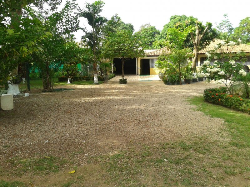 Chácara à venda Nova Conquista com 30000m² e 4 quartos por R$ 10.000.000 - 1851993375-11288974-825071434245537-965298152562405162-o.jpg