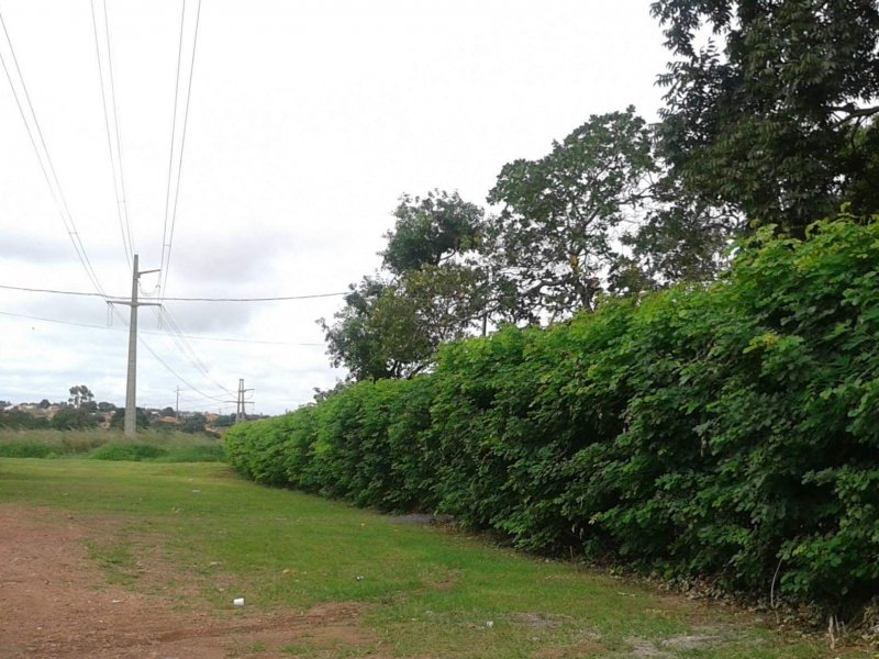 Chácara à venda Nova Conquista com 30000m² e 4 quartos por R$ 10.000.000 - 2112608979-11009914-825070707578943-7065370778218837115-o.jpg