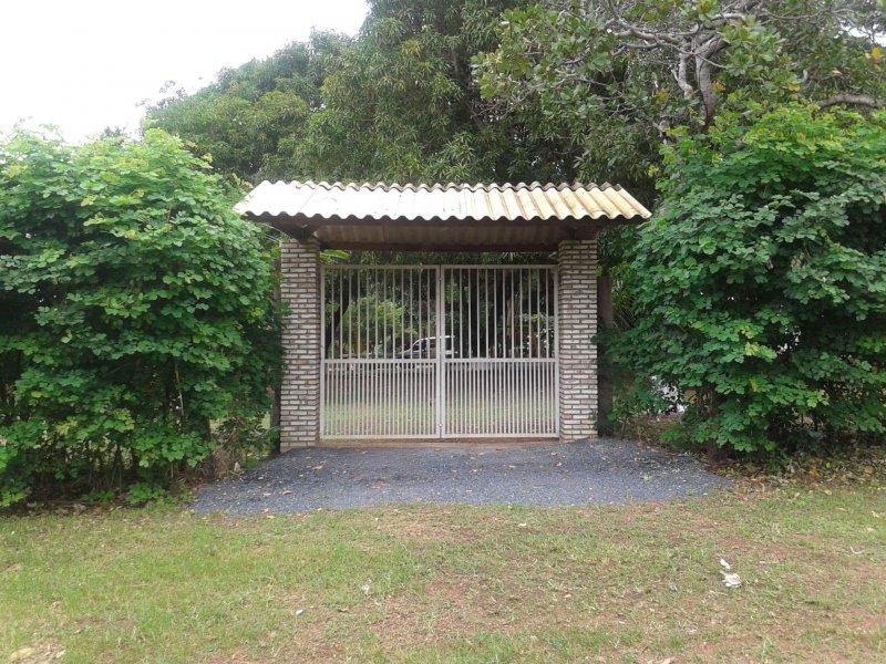 Chácara à venda Nova Conquista com 30000m² e 4 quartos por R$ 10.000.000 - 540225714-11336843-825070947578919-9105263042356937120-o.jpg