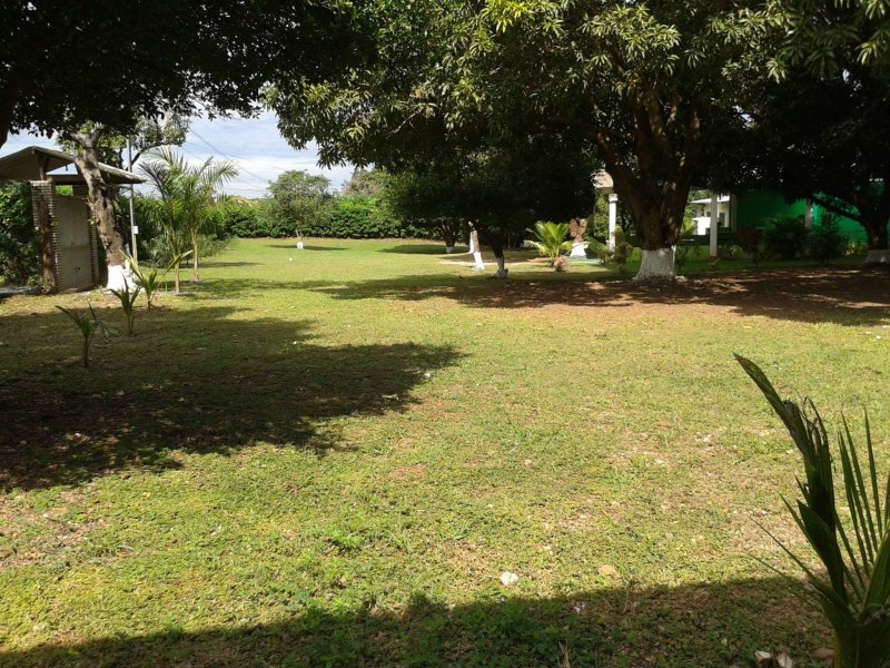 Chácara à venda Nova Conquista com 30000m² e 4 quartos por R$ 10.000.000 - 634042982-11312631-825070994245581-2263480113338755291-o.jpg