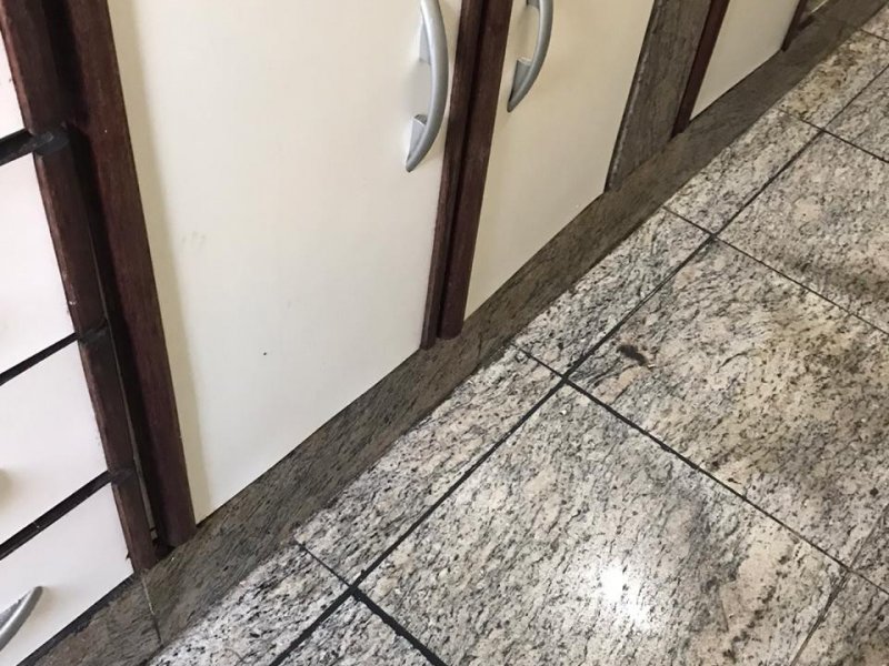 Cobertura à venda Engenho Novo com 150m² e 3 quartos por R$ 480.000 - 839710474-whatsapp-image-2020-04-02-at-17.jpeg